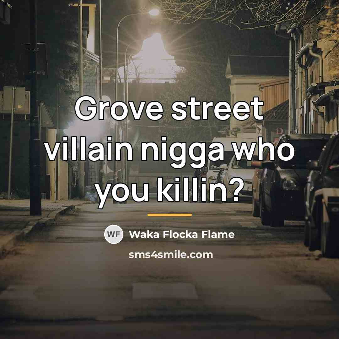 “Grove street villain nigga who you killin?…” quote by Waka Flocka Flame