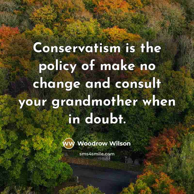 “Conservatism is the policy of make no change and consult…” quote by Woodrow Wilson