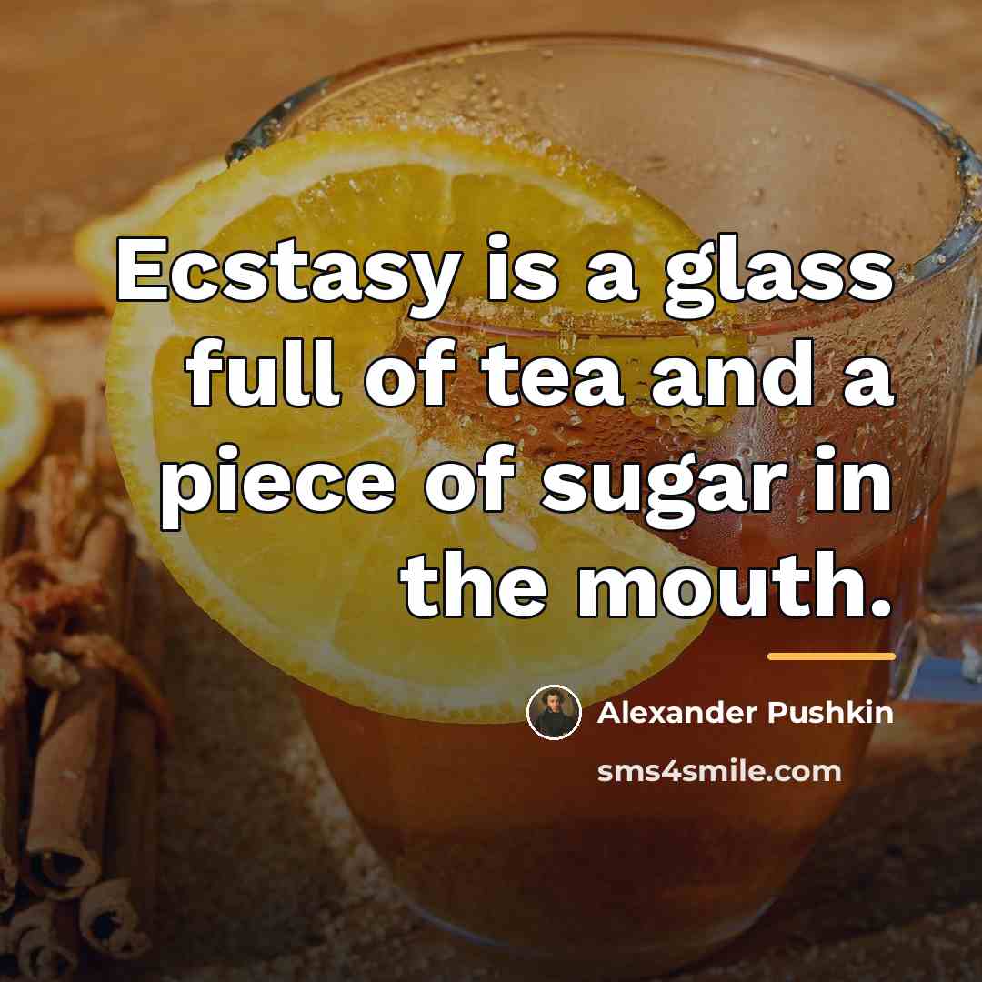 “Ecstasy is a glass full of tea and a piece…” quote by Alexander Pushkin