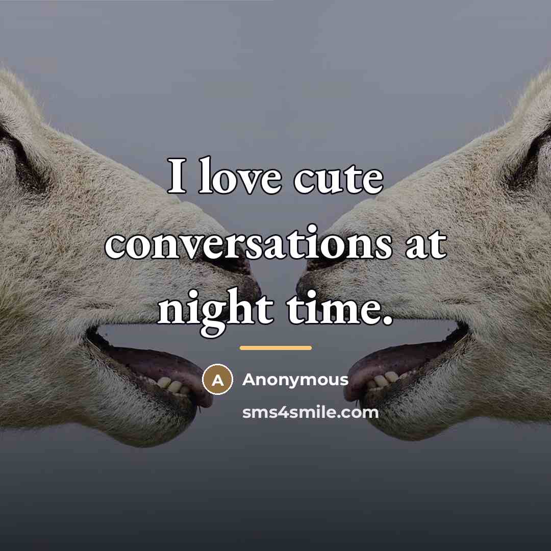 “I love cute conversations at night time.…” quote by Anonymous