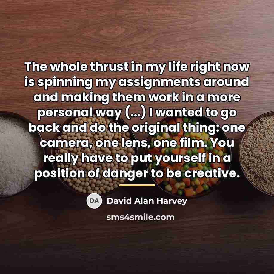 “The whole thrust in my life right now is spinning…” quote by David Alan Harvey