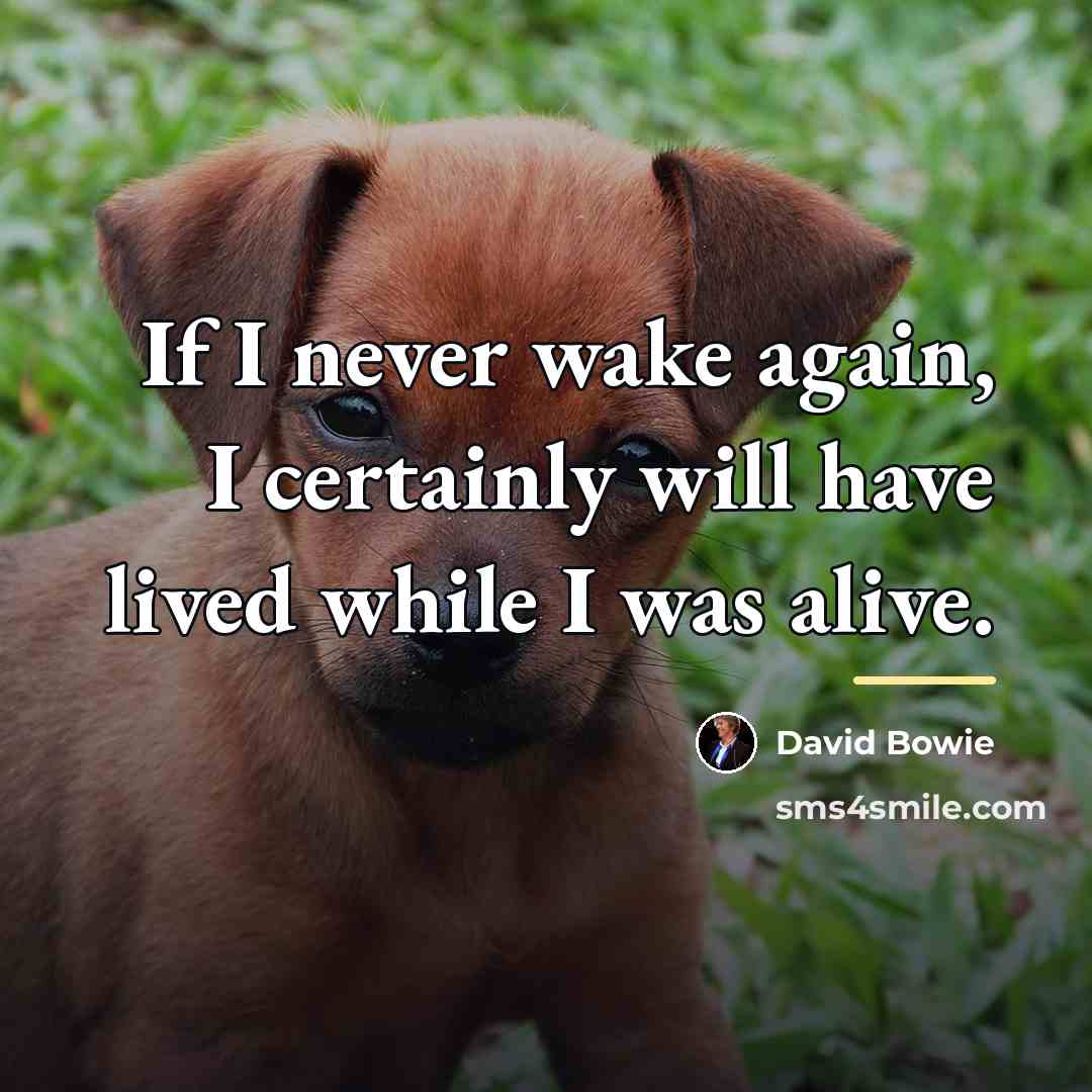 “If I never wake again, I certainly will have lived…” quote by David Bowie