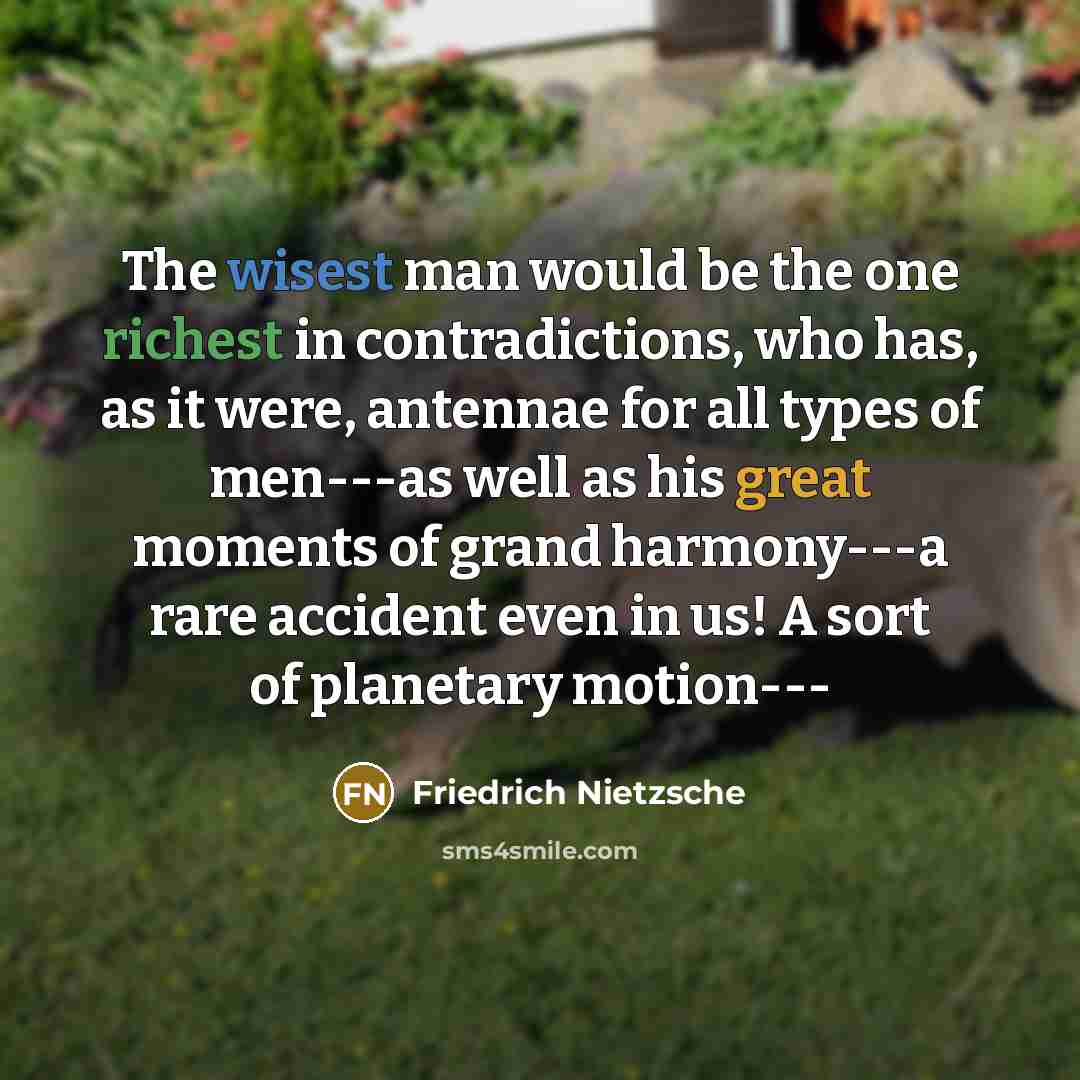 “The wisest man would be the one richest in contradictions,…” quote by Friedrich Nietzsche