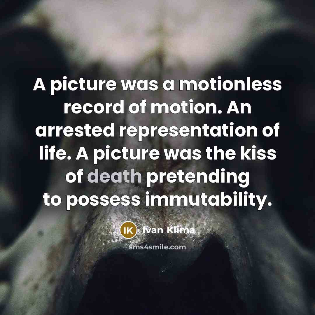 “A picture was a motionless record of motion. An arrested…” quote by Ivan Klíma