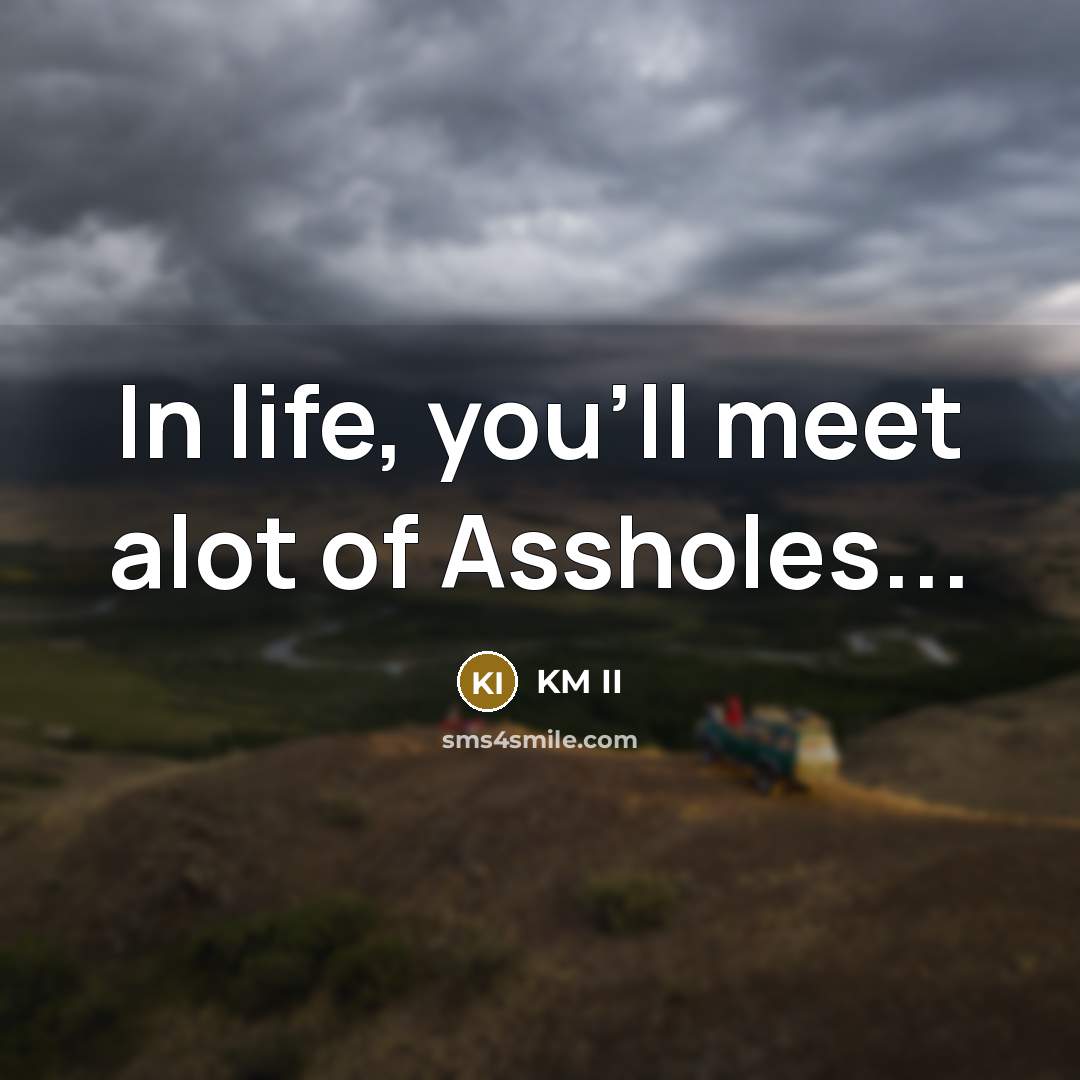 “In life, you'll meet alot of Assholes...” quote by KM II