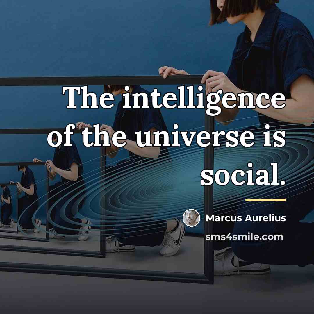 “The intelligence of the universe is social.…” quote by Marcus Aurelius