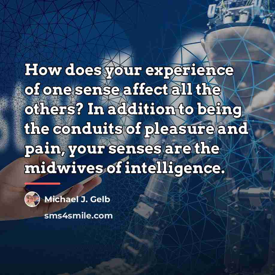 “How does your experience of one sense affect all the…” quote by Michael J. Gelb