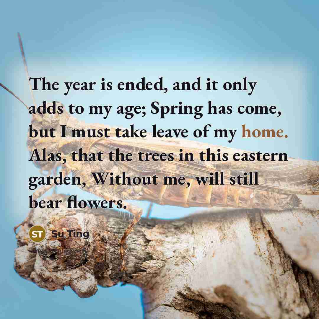 “The year is ended, and it only adds to my age; Spring has come, but I must take leave of my home. Alas, that the trees in this eastern garden, Without me, will still bear flowers.” quote by Su Ting