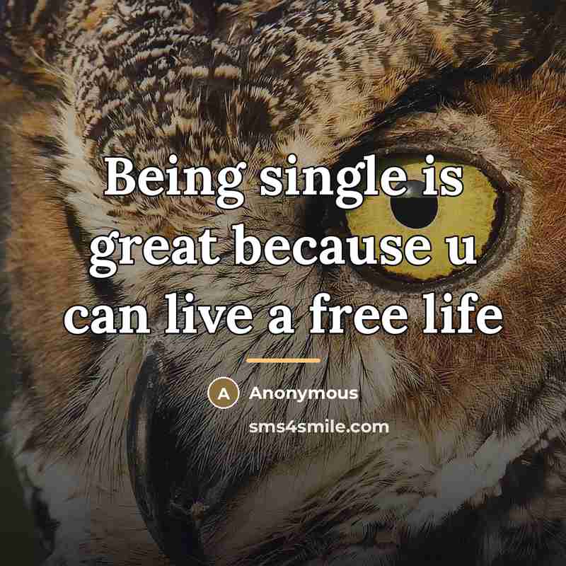 “Being single is great because u can live a free…” quote by Anonymous