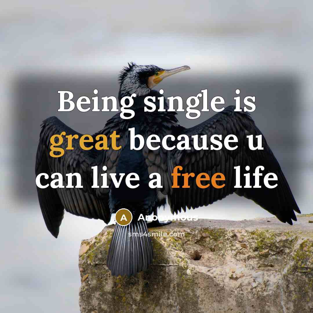 “Being single is great because u can live a free life” quote by Anonymous