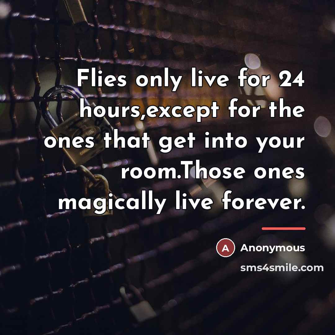 “Flies only live for 24 hours,except for the ones that…” quote by Anonymous
