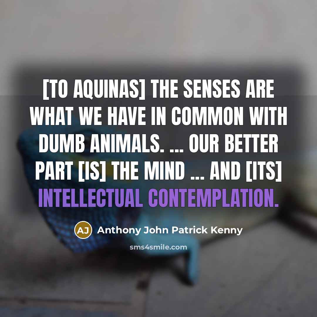 “[To Aquinas] the senses are what we have in common…” quote by Anthony John Patrick Kenny