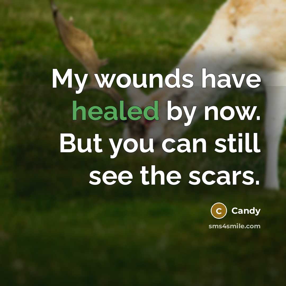 “My wounds have healed by now. But you can still…” quote by Candy
