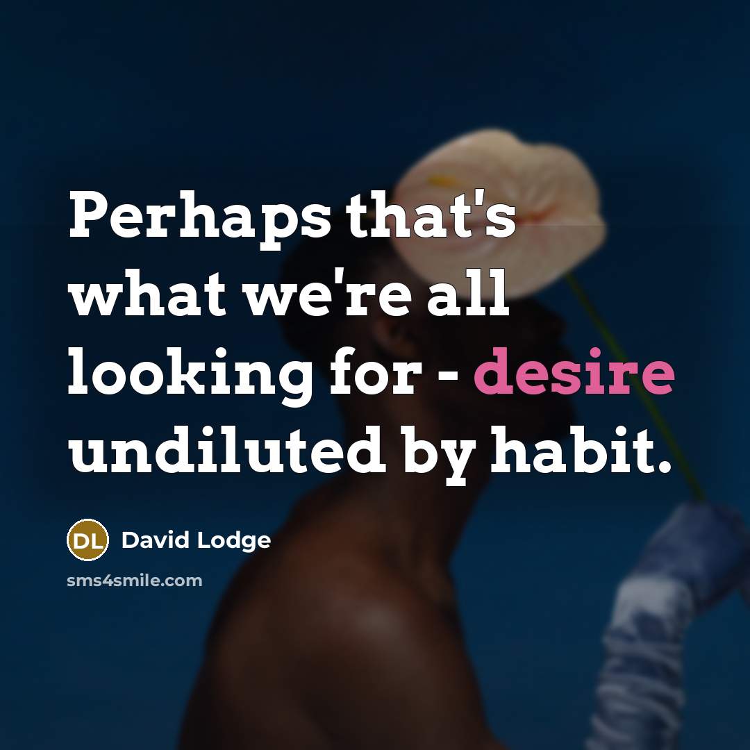 “Perhaps that's what we're all looking for - desire undiluted…” quote by David Lodge