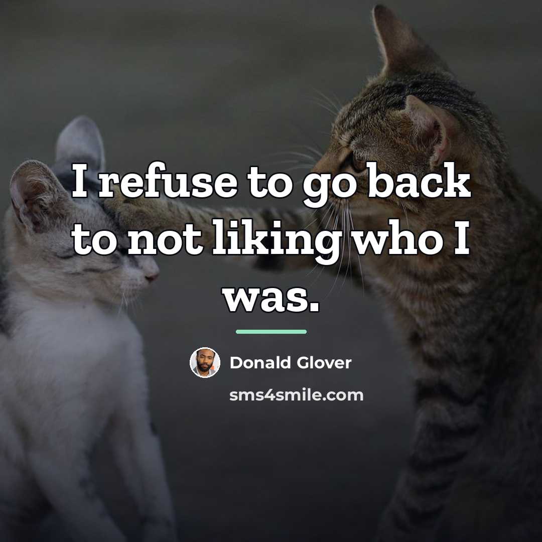“I refuse to go back to not liking who I…” quote by Donald Glover