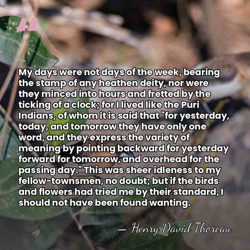 My days were not days of the week, bearing the stamp of&hellip; - Henry David Thoreau