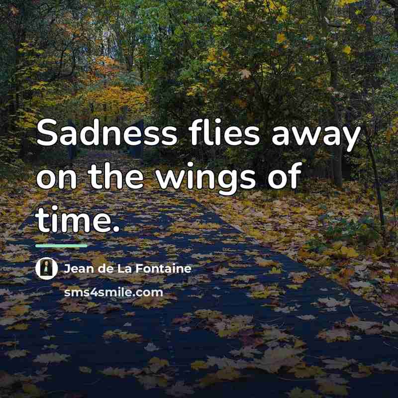 “Sadness flies away on the wings of time.…” quote by Jean de La Fontaine