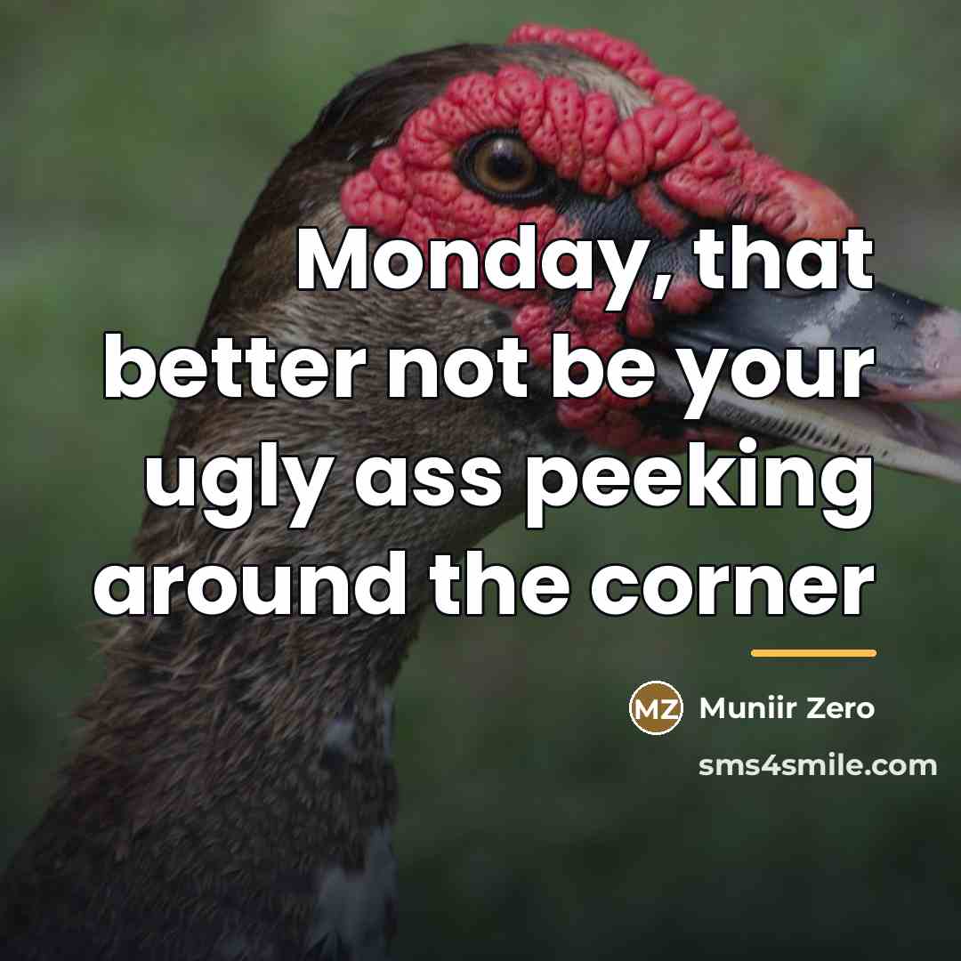 “Monday, that better not be your ugly ass peeking around…” quote by Muniir Zero