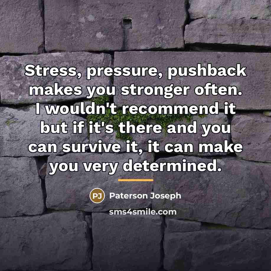 “Stress, pressure, pushback makes you stronger often. I wouldn't recommend…” quote by Paterson Joseph