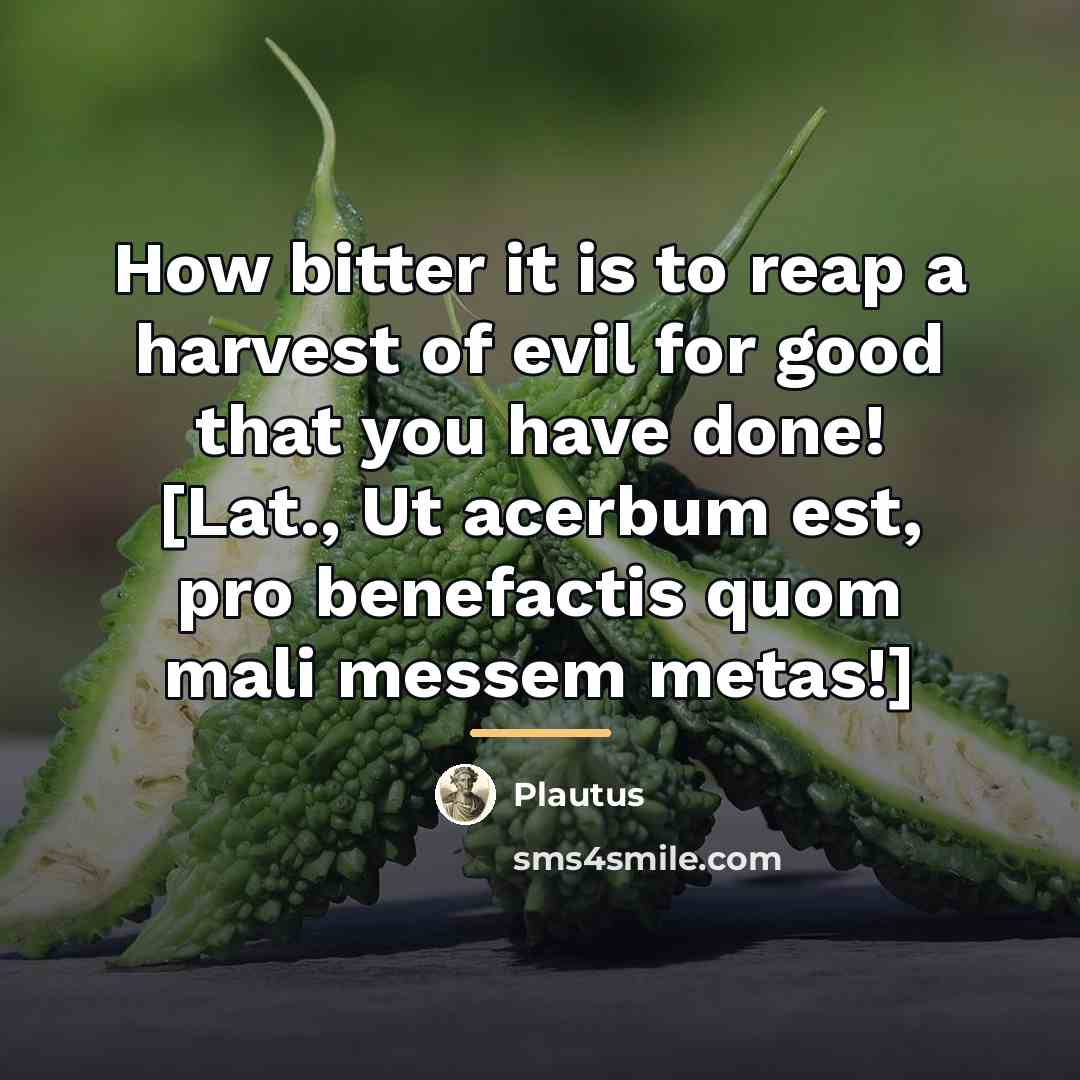 “How bitter it is to reap a harvest of evil…” quote by Plautus