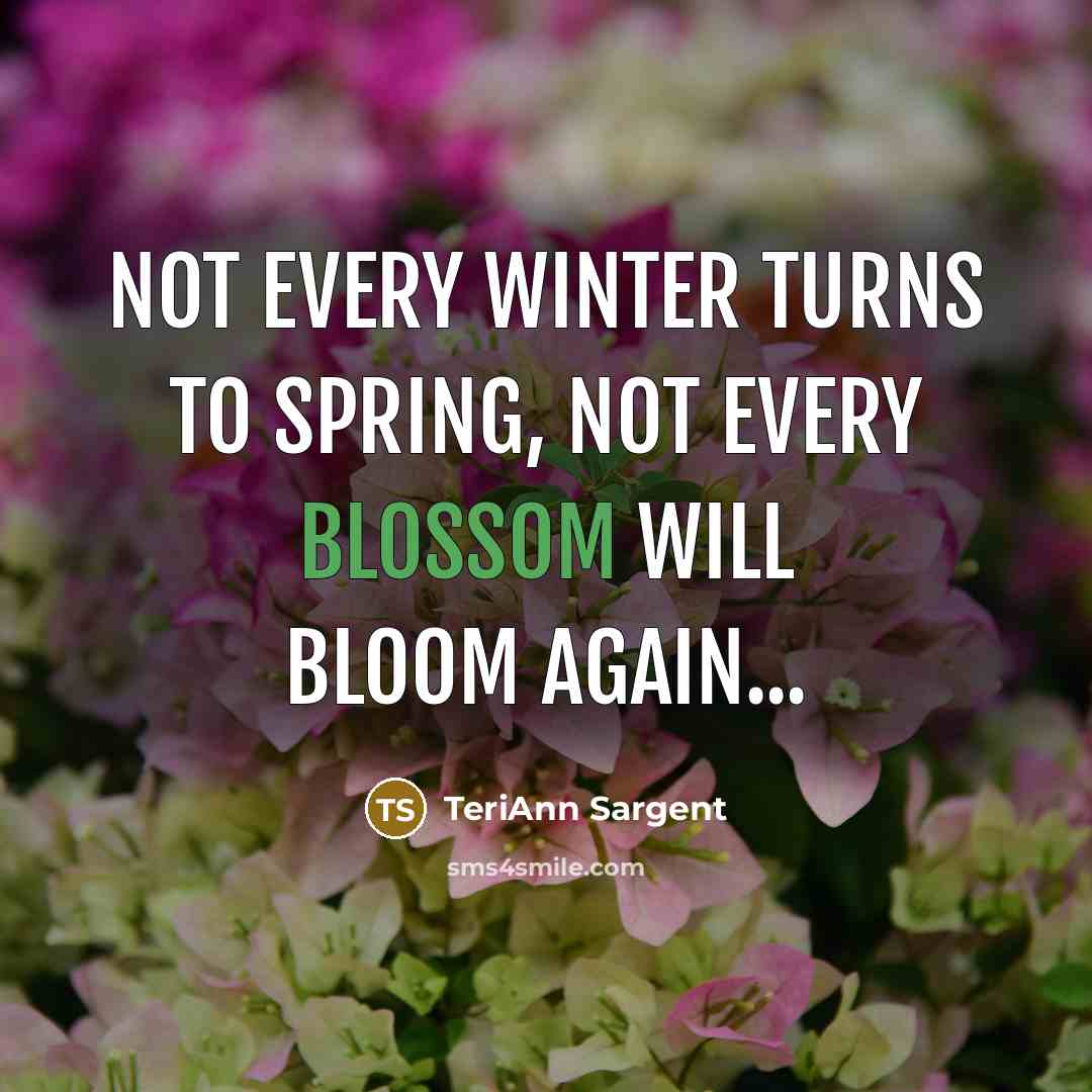“Not every winter turns to spring, not every blossom will bloom again...” quote by TeriAnn Sargent