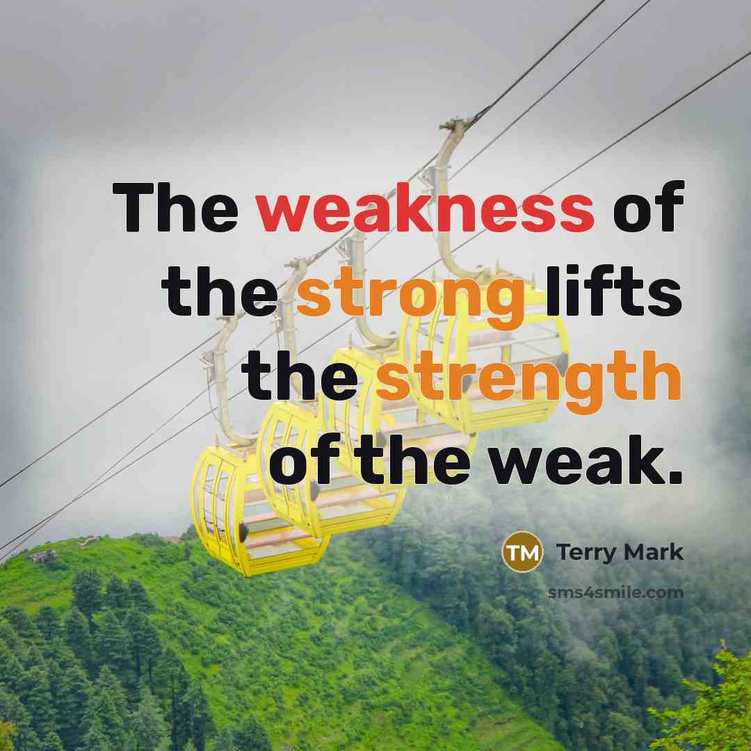 “The weakness of the strong lifts the strength of the…” quote by Terry Mark