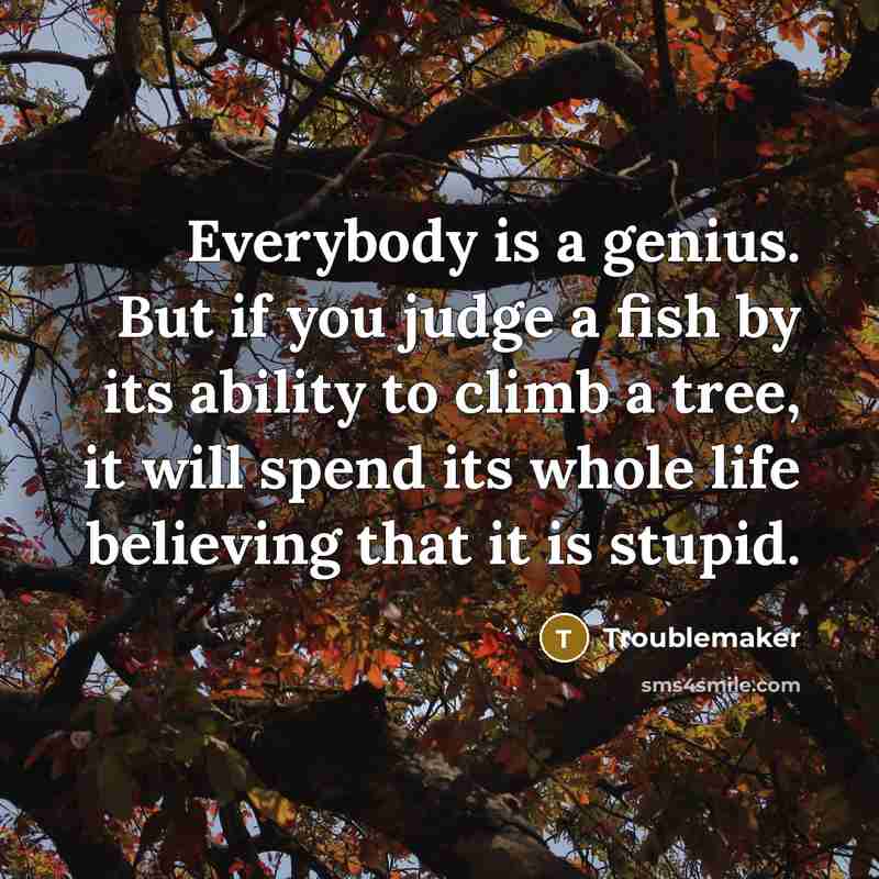 “Everybody is a genius. But if you judge a fish…” quote by Troublemaker
