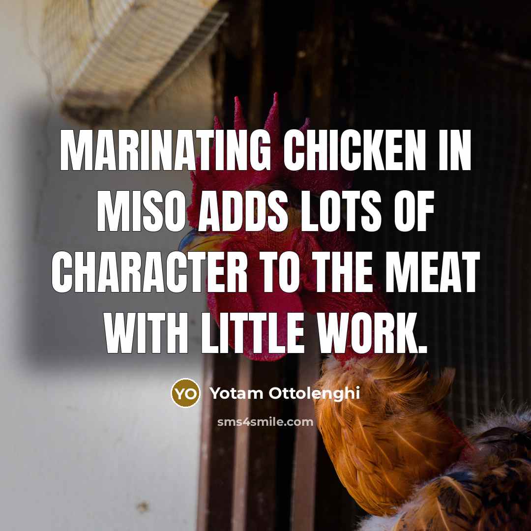 “Marinating chicken in miso adds lots of character to the…” quote by Yotam Ottolenghi