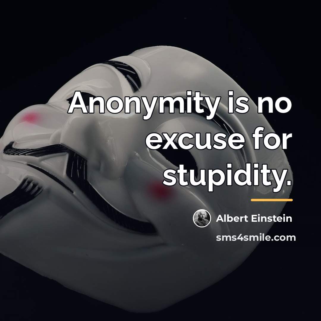 “Anonymity is no excuse for stupidity.…” quote by Albert Einstein