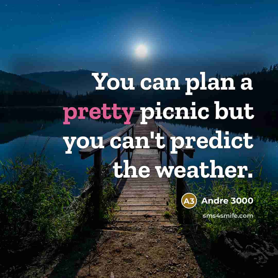 “You can plan a pretty picnic but you can't predict the weather.” quote by Andre 3000