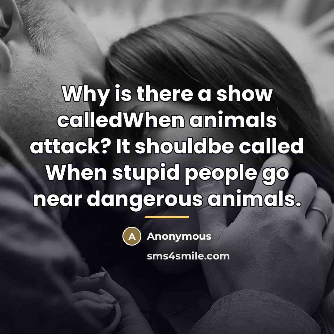 “Why is there a show calledWhen animals attack? It shouldbe…” quote by Anonymous