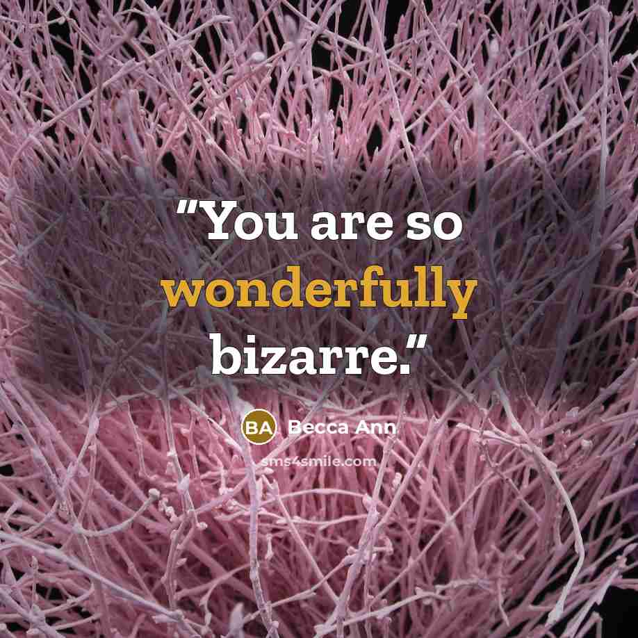 “You are so wonderfully bizarre.” quote by Becca Ann