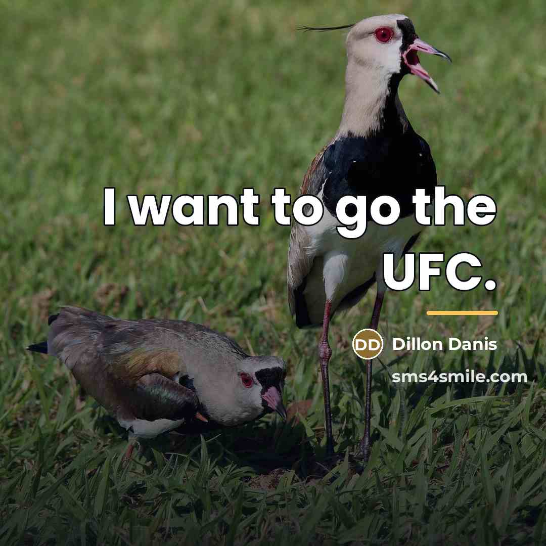 “I want to go the UFC.…” quote by Dillon Danis