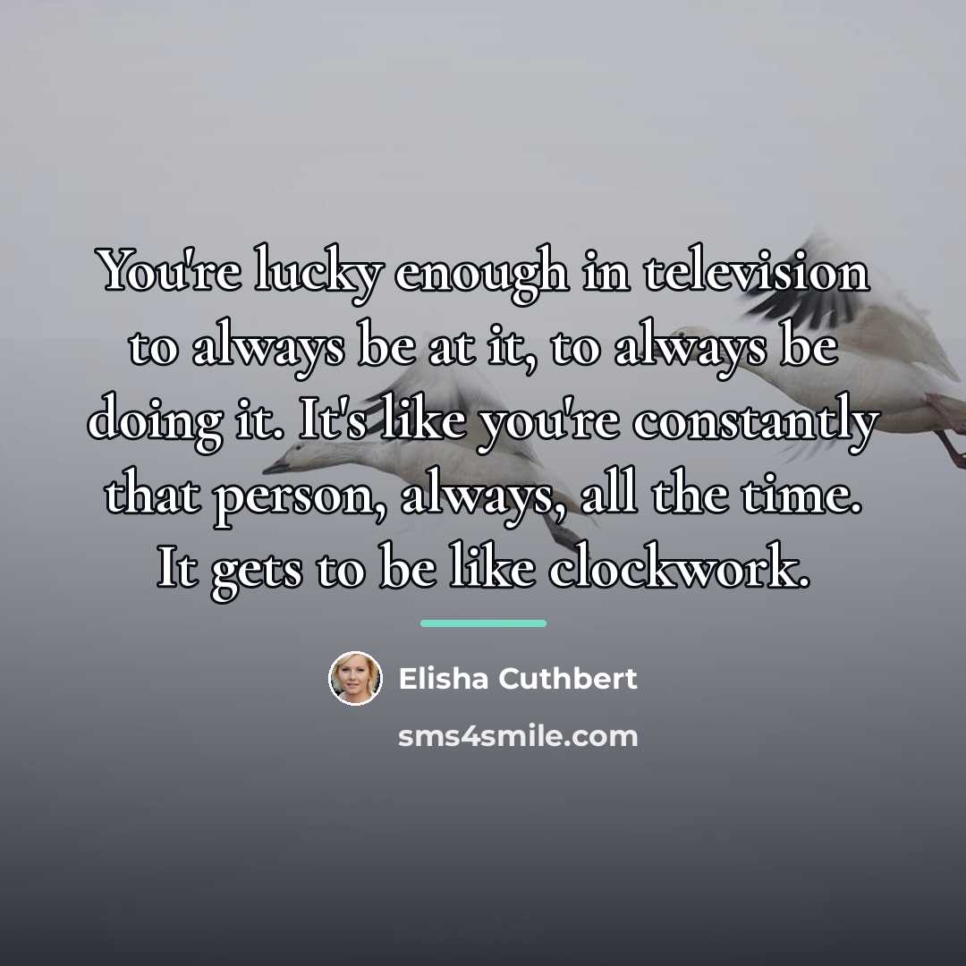 “You're lucky enough in television to always be at it,…” quote by Elisha Cuthbert
