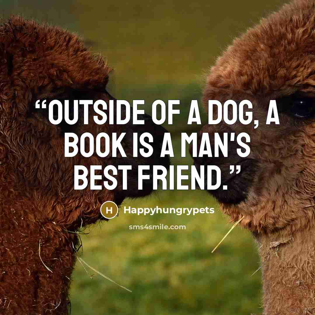 “Outside of a dog, a book is a man's best friend.” quote by Happyhungrypets