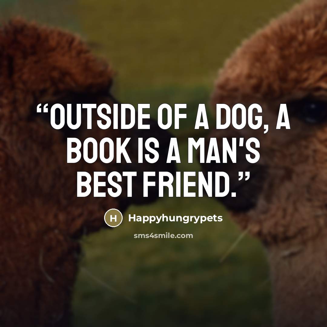 “Outside of a dog, a book is a man's best friend.” quote by Happyhungrypets