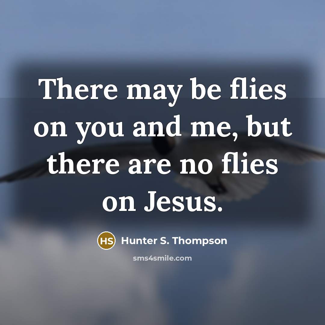 “There may be flies on you and me, but there…” quote by Hunter S. Thompson
