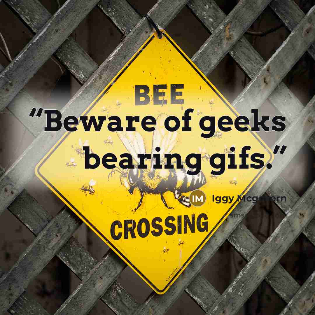 “Beware of geeks bearing gifs.” quote by Iggy Mcgovern