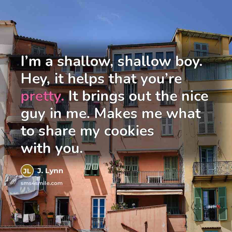 “I’m a shallow, shallow boy. Hey, it helps that you’re…” quote by J. Lynn