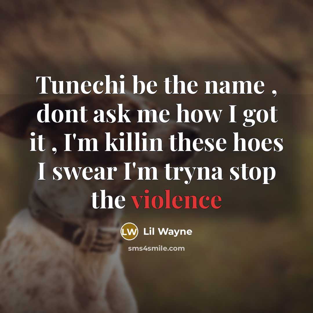 “Tunechi be the name , dont ask me how I got it , I'm killin these hoes I swear I'm tryna stop the violence” quote by Lil Wayne