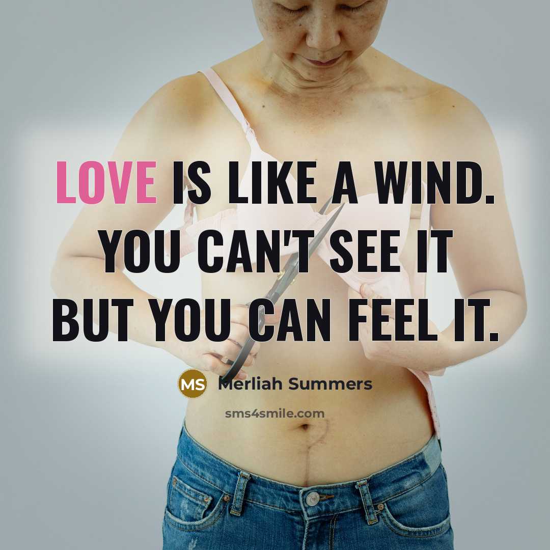 “Love is like a wind. You can't see it but…” quote by Merliah Summers