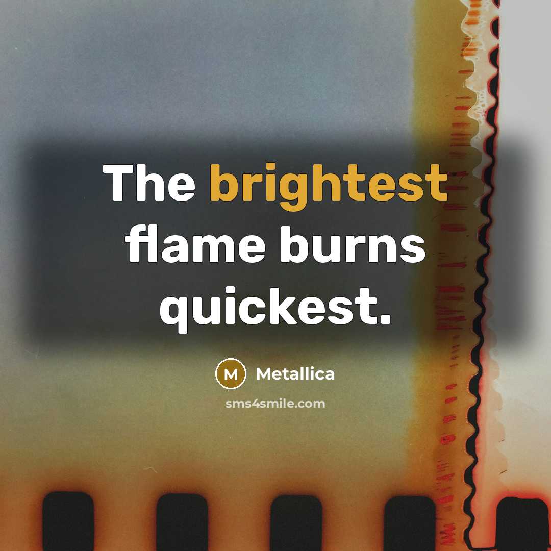 “The brightest flame burns quickest.” quote by Metallica