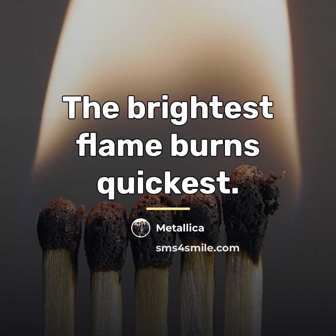 “The brightest flame burns quickest.…” quote by Metallica