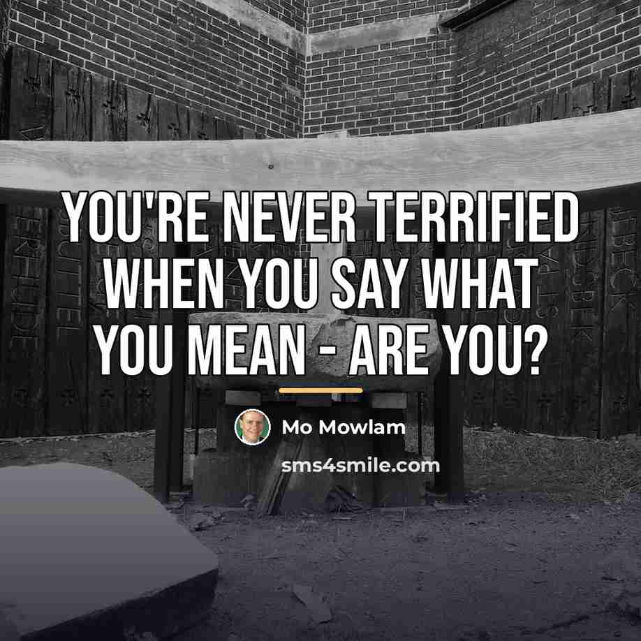 “You're never terrified when you say what you mean -…” quote by Mo Mowlam