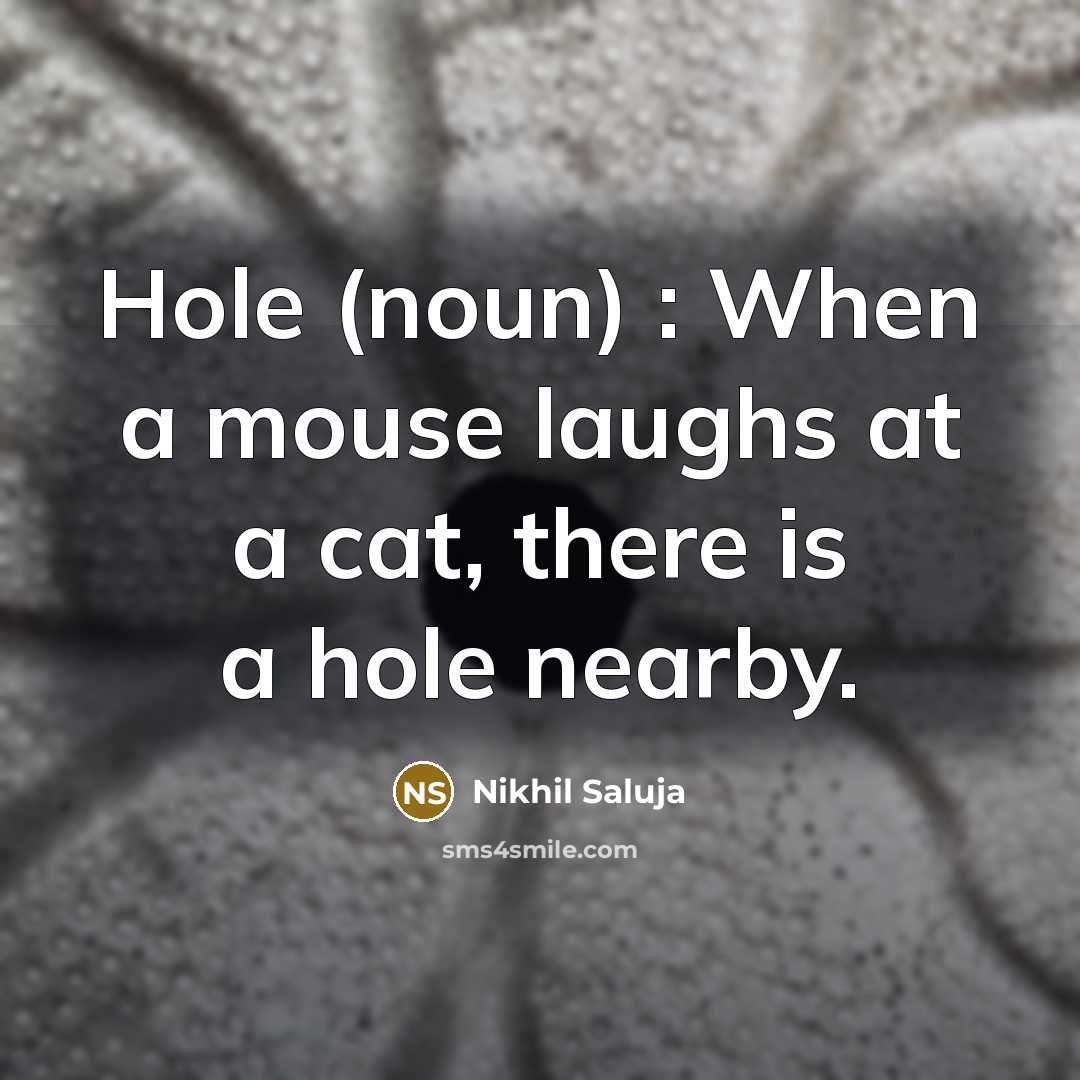 “Hole (noun) : When a mouse laughs at a cat,…” quote by Nikhil Saluja