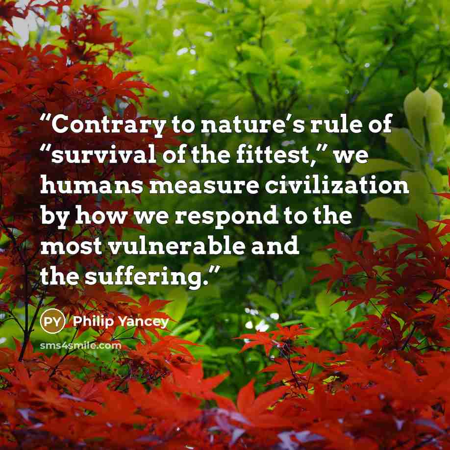 “Contrary to nature’s rule of “survival of the fittest,” we humans measure civilization by how we respond to the most vulnerable and the suffering.” quote by Philip Yancey