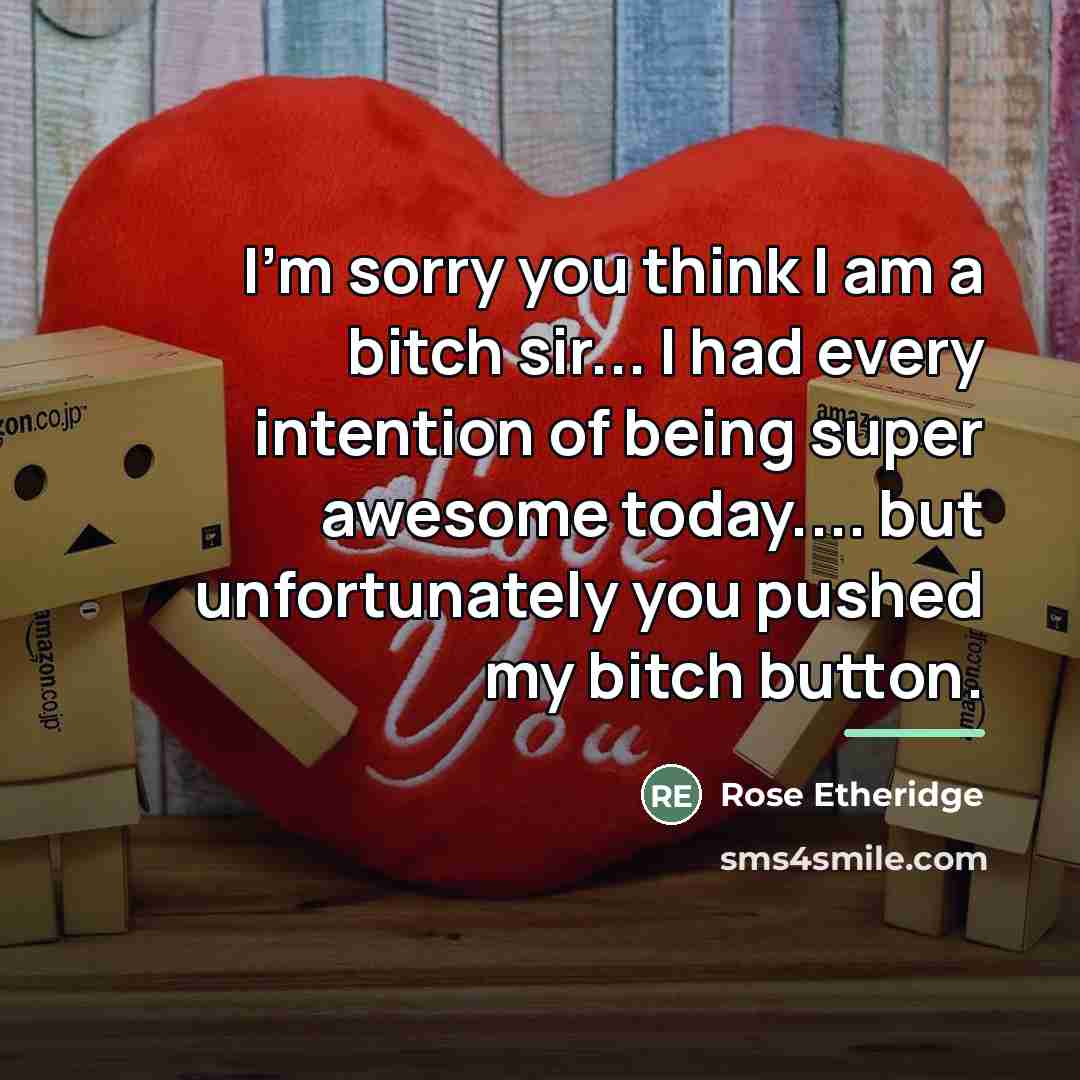 “I'm sorry you think I am a bitch sir... I…” quote by Rose Etheridge