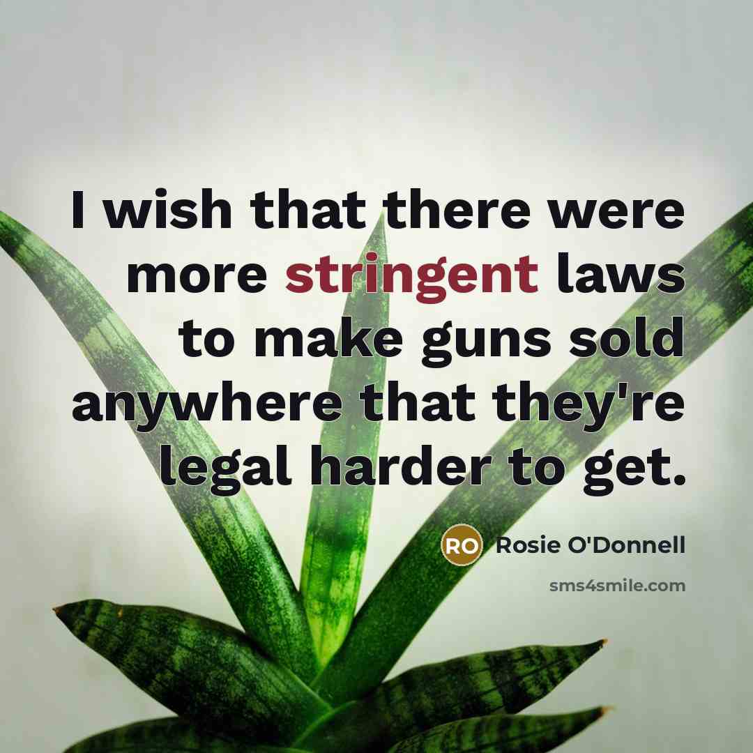 “I wish that there were more stringent laws to make…” quote by Rosie O'Donnell