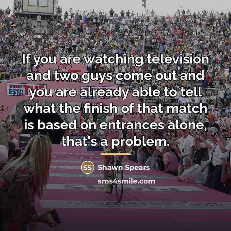 “If you are watching television and two guys come out…” quote by Shawn Spears