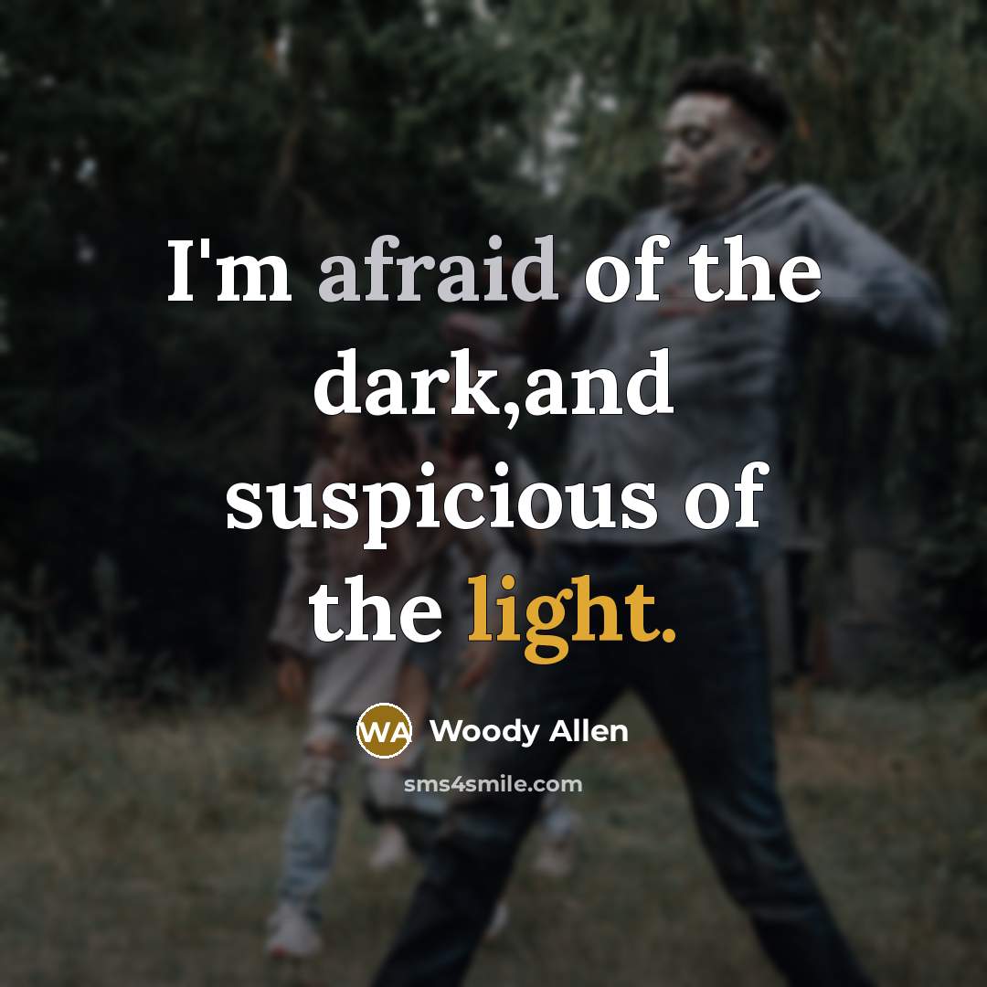 “I'm afraid of the dark,and suspicious of the light.” quote by Woody Allen